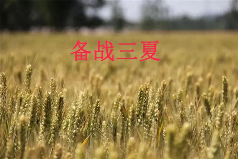 備戰三夏，氣象先行(圖1)