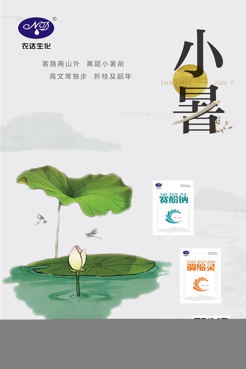 溫風(fēng)至，小暑來。(圖1)