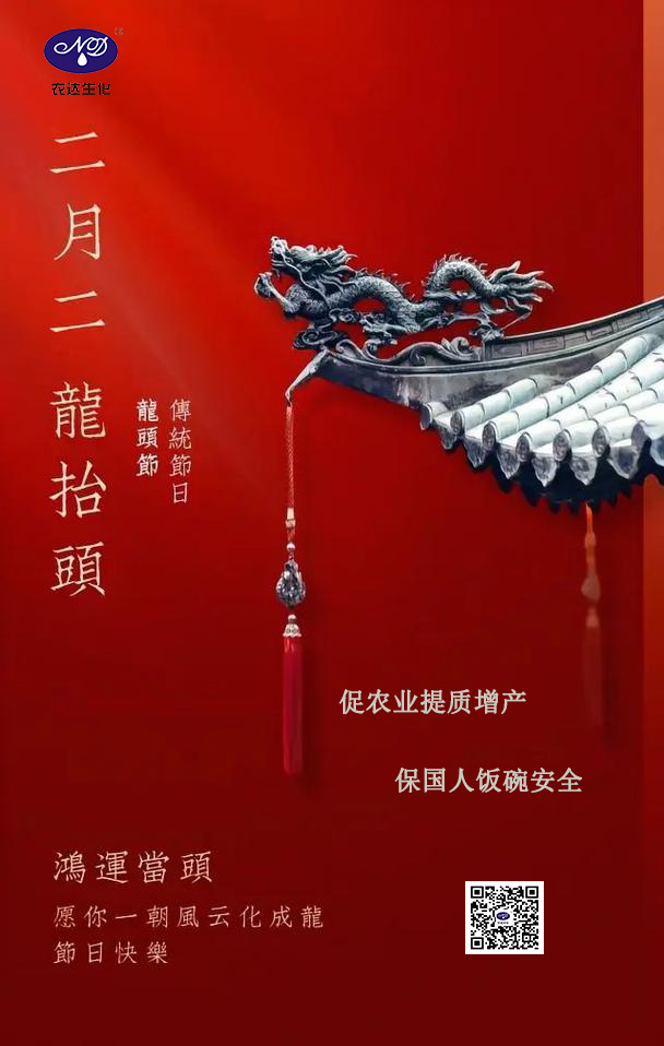二月二，鴻運當頭(圖1)